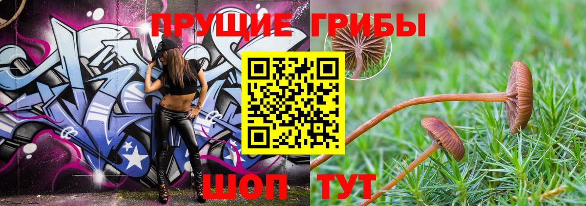 Псилоцибиновые грибы Magic Shrooms  Вход с VPN  Верхняя Пышма  Галлюциногенные грибы мухоморы 