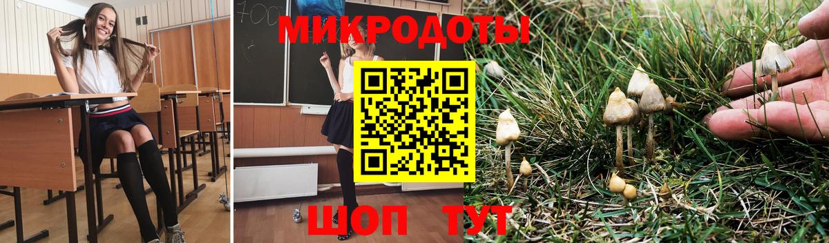 Псилоцибиновые грибы Magic Shrooms Верхняя Пышма